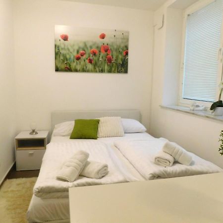 Appartamento Modern Center Studio Under The Castle - Free Parking Lubiana Esterno foto