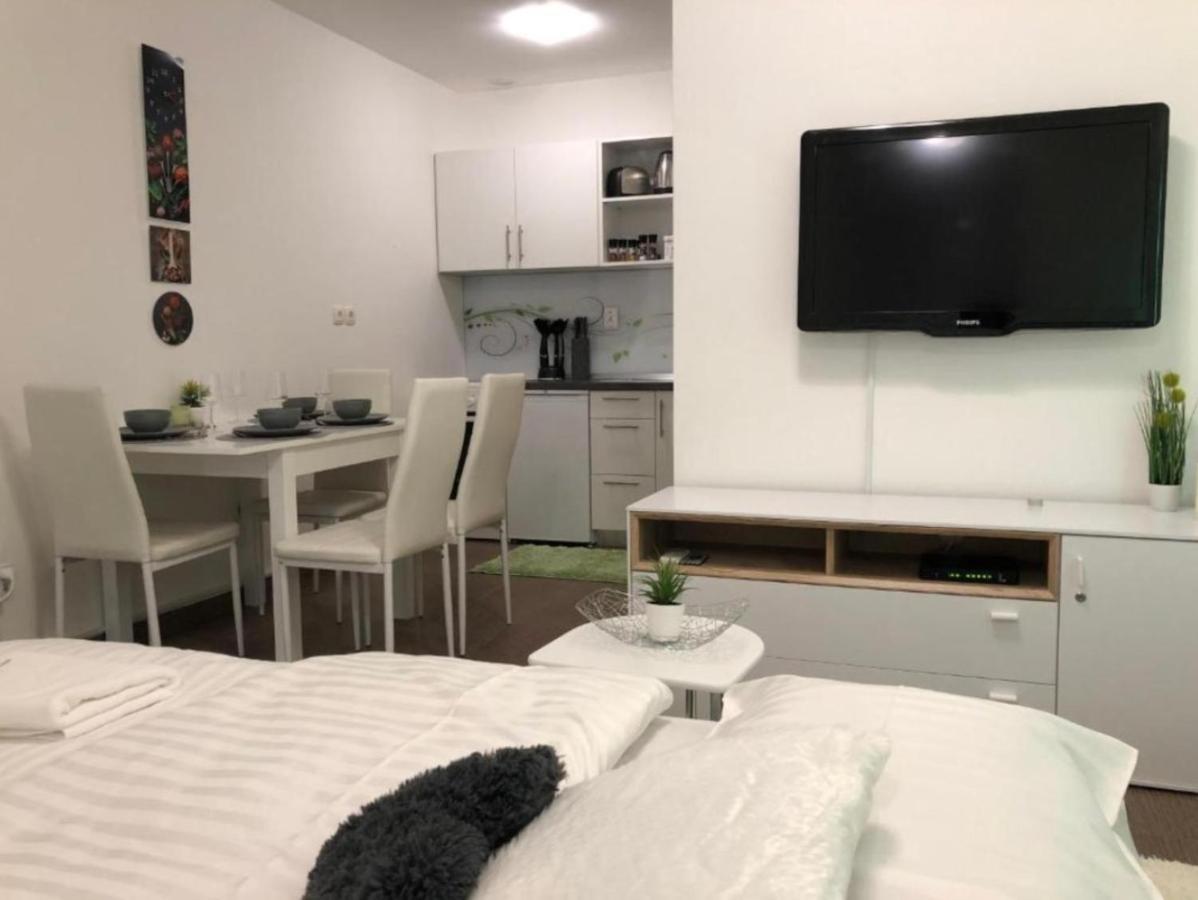 Appartamento Modern Center Studio Under The Castle - Free Parking Lubiana Esterno foto